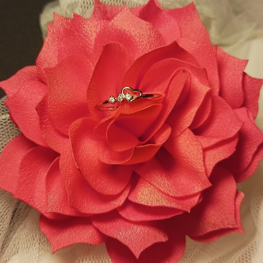 Sterling Silver Ring with Diamond Accents